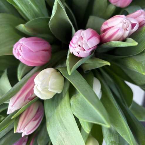 bouquet de tulipe GRTA