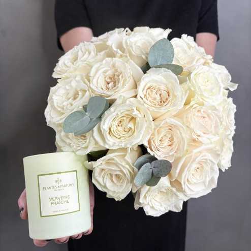 Le Tendresse Blanc & bougie verveine