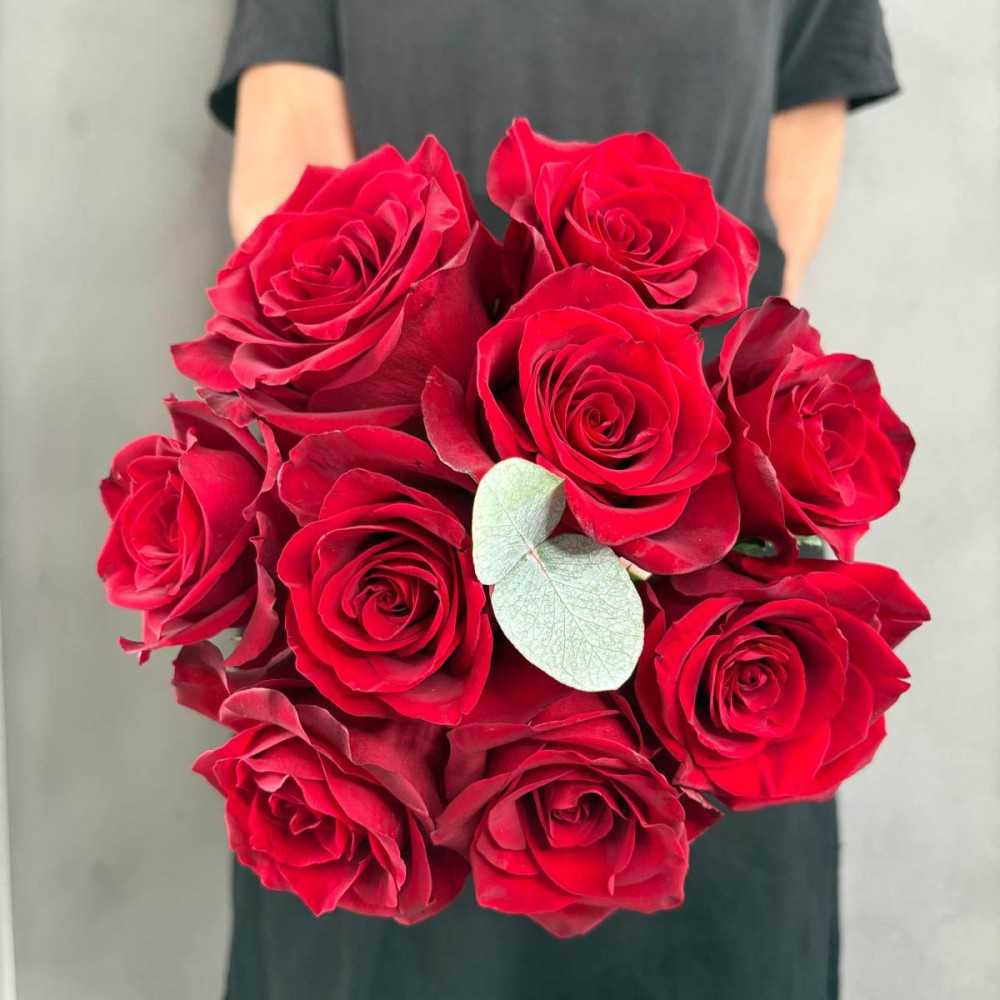 the red softness