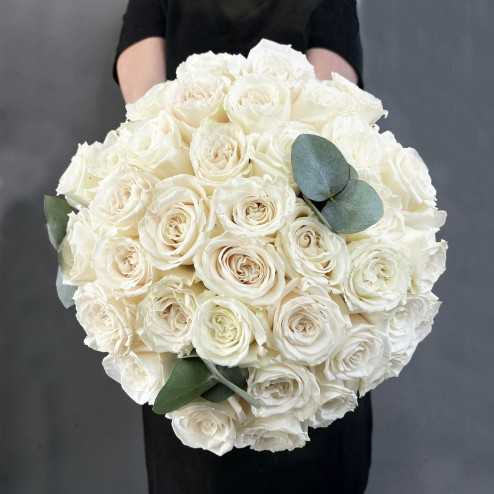 Le prestigieux blanc
