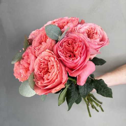 Le douceur pink