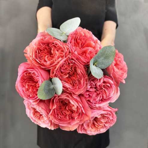 Le douceur pink