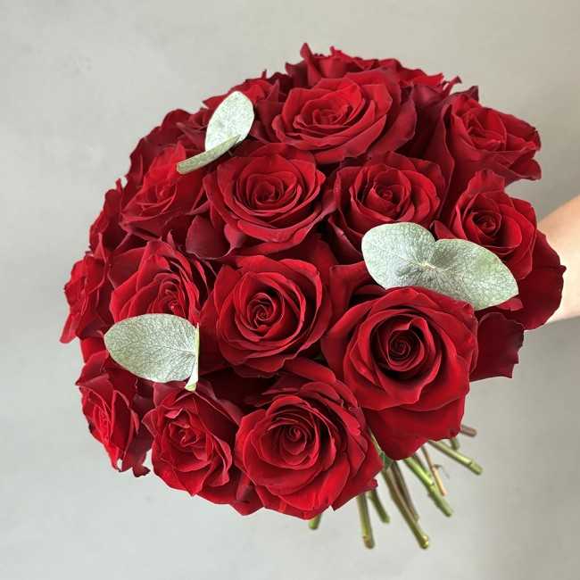 Le Tendresse Rouge
