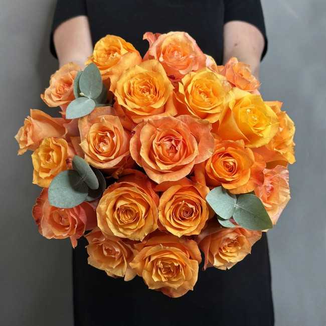 copy of Product for Roses VIERGE to duplicate