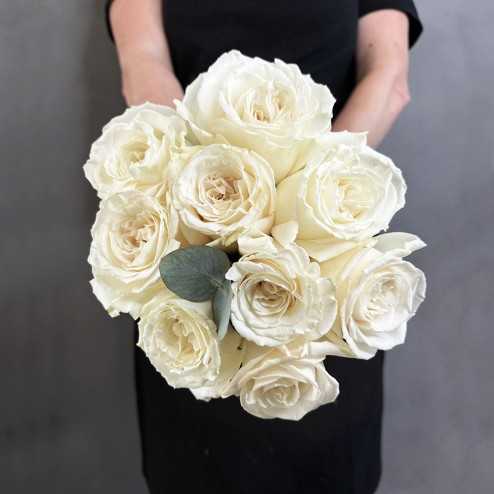 copy of Product for Roses VIERGE to duplicate