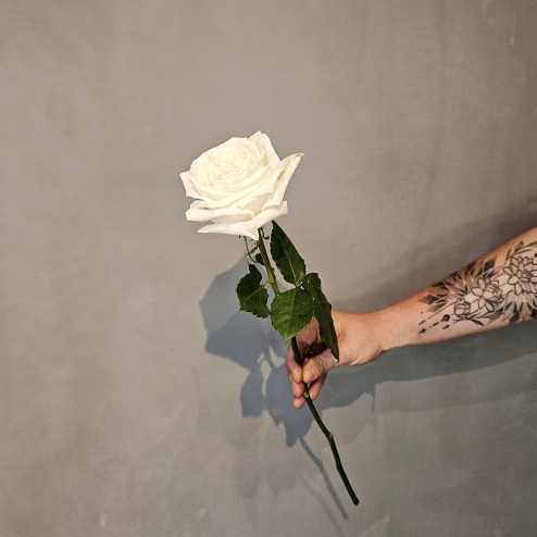 Lieferung Strauß weißer Rosen | Bouvard Fleurs