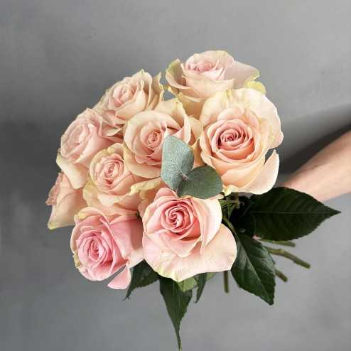 copy of The pink softness
