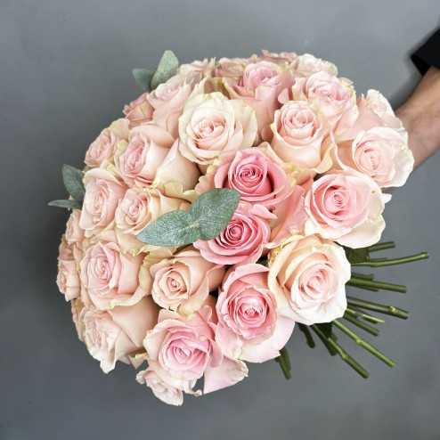 the prestigious pale pink