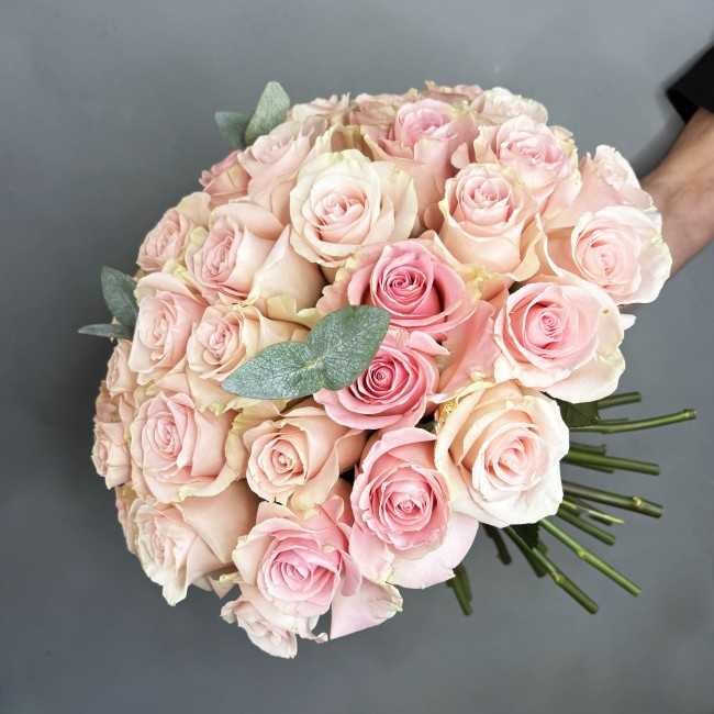 Le Prestigieux rose pâle