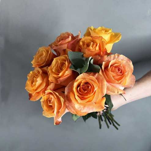 pink rosen