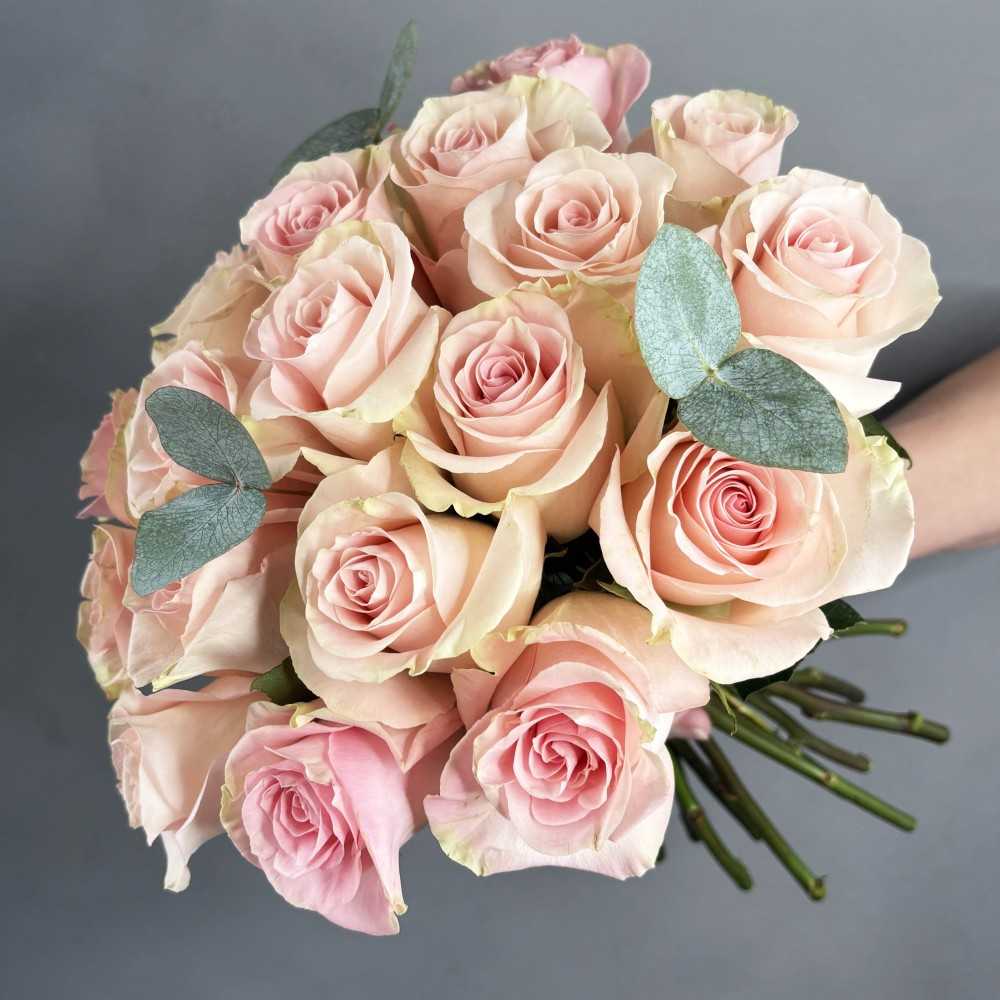 Le Tendresse rose pâle