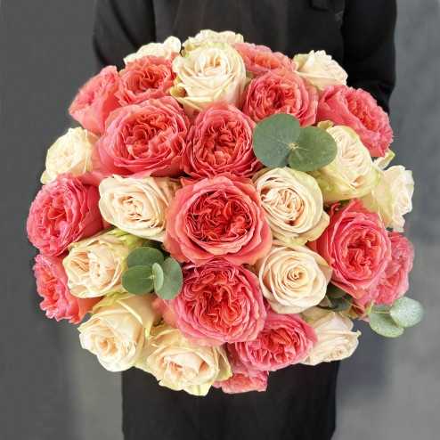 Le Prestigieux Bicolore