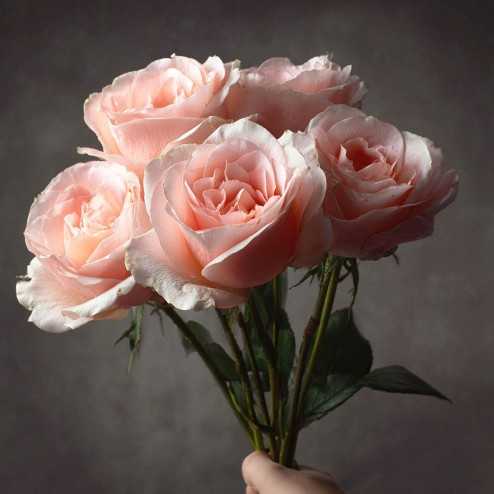 Cours Art Floral Individuel