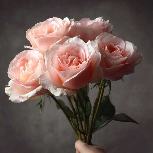 Cours Art Floral Individuel