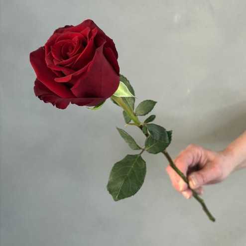 Maßgeschneiderter Strauß roter Rosen – Lieferung in der Schweiz – Lieferung in Genf