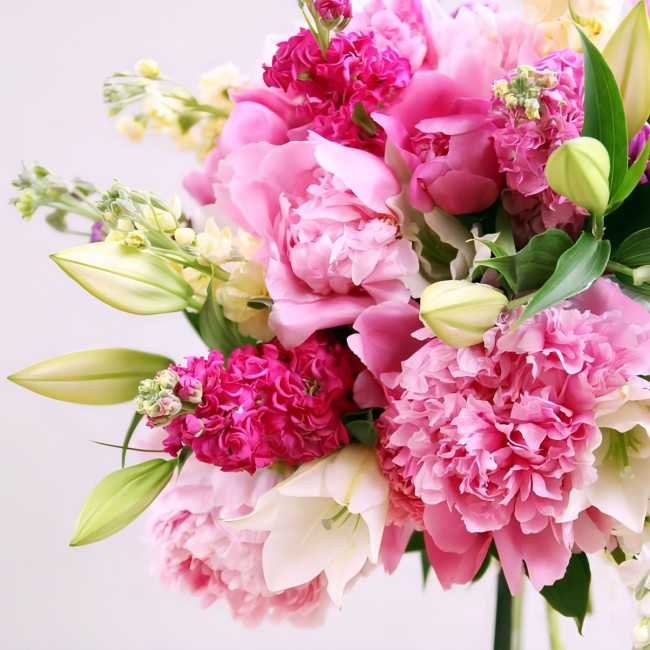 Le Pink