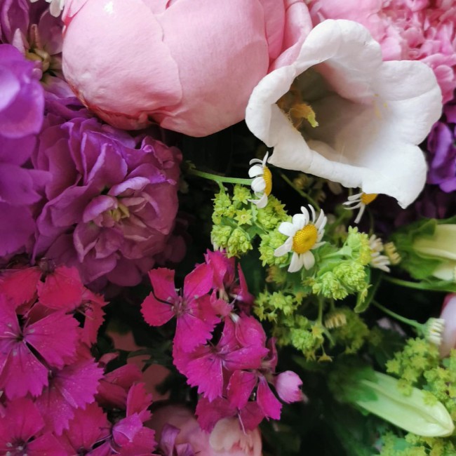 Le Sommet Floral