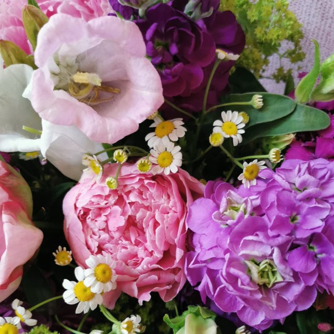 Le Sommet Floral