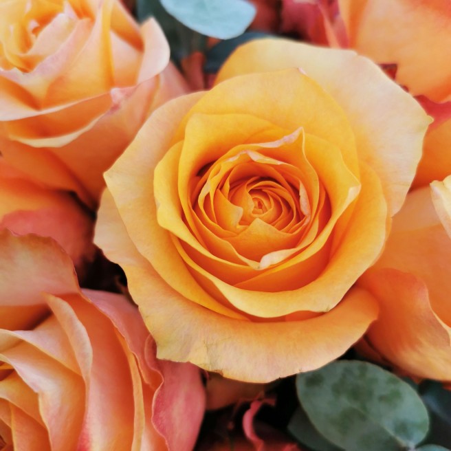 Le Vahiné Orange Rose Bouquet Delivery | Bouvard Fleurs