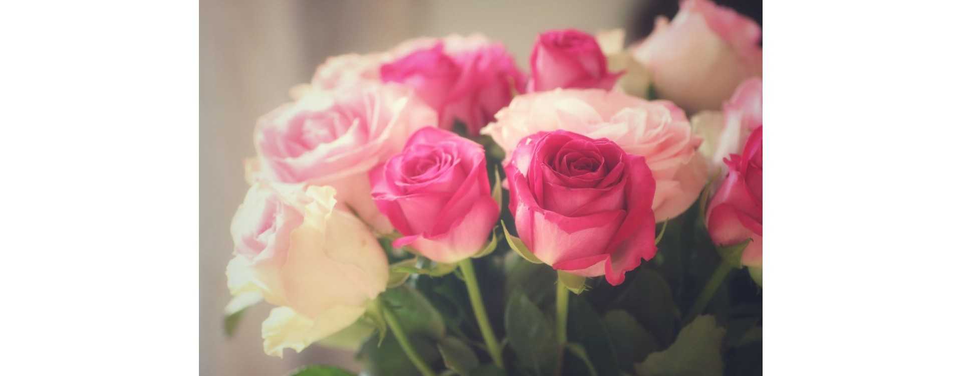 Bouquet of Roses: Origins and Popular Varieties