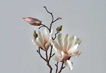 Die Kunst des japanischen Ikebana verstehen