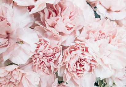 Blumen für das Wohlbefinden: Wie können Blumensträuße Ihre geistige und körperliche Gesundheit verbessern?