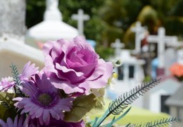 Les fleurs à offrir pour célébrer le Jour des morts